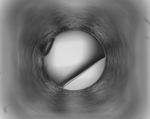 X0000096441250200801241110