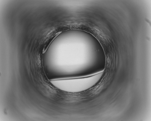 X0000096441252200801241110