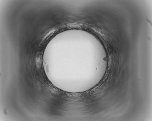 X0000096441254200801241110