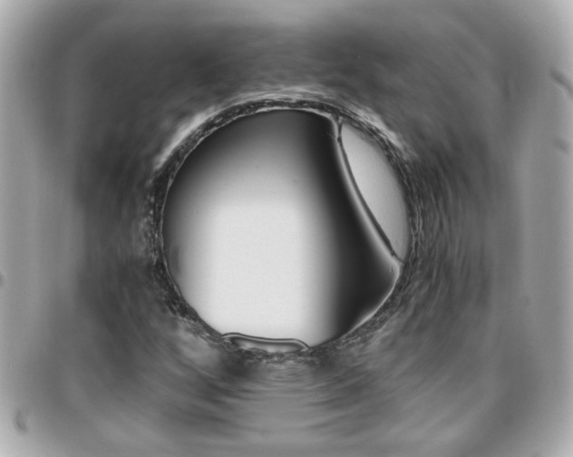 X0000096441256200801241110