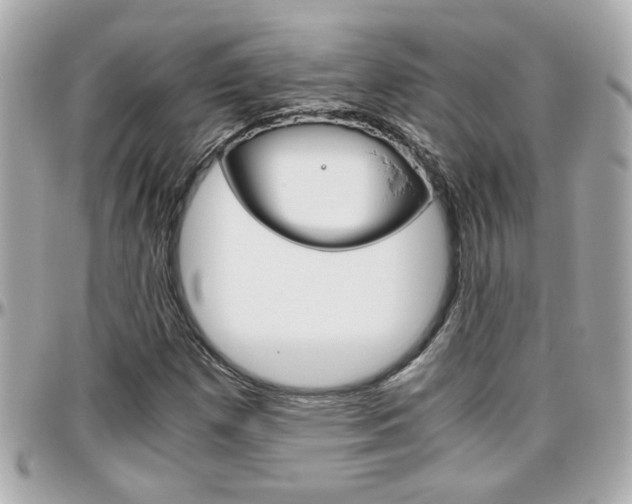 X0000096441257200801241110