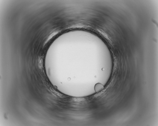 X0000096441258200801241110