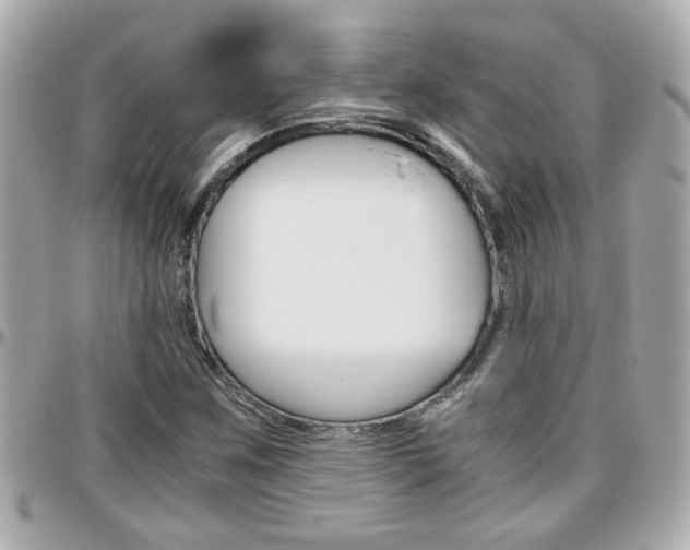 X0000096441259200801241110