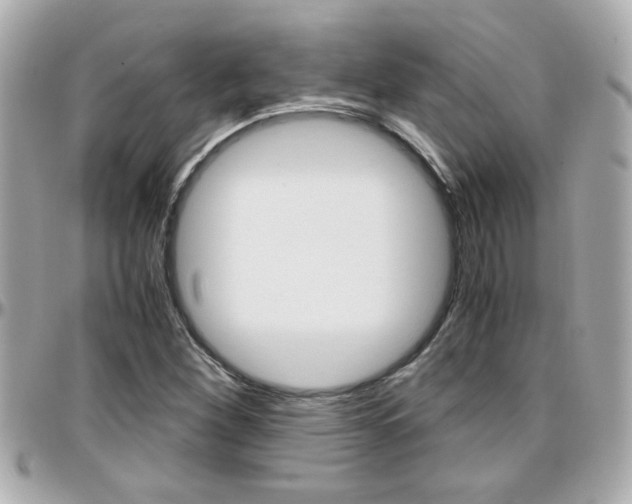 X0000096441260200801241110