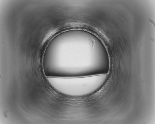 X0000096441261200801241110