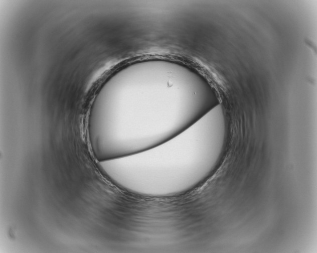 X0000096441262200801241110