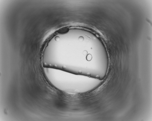 X0000096441263200801241110