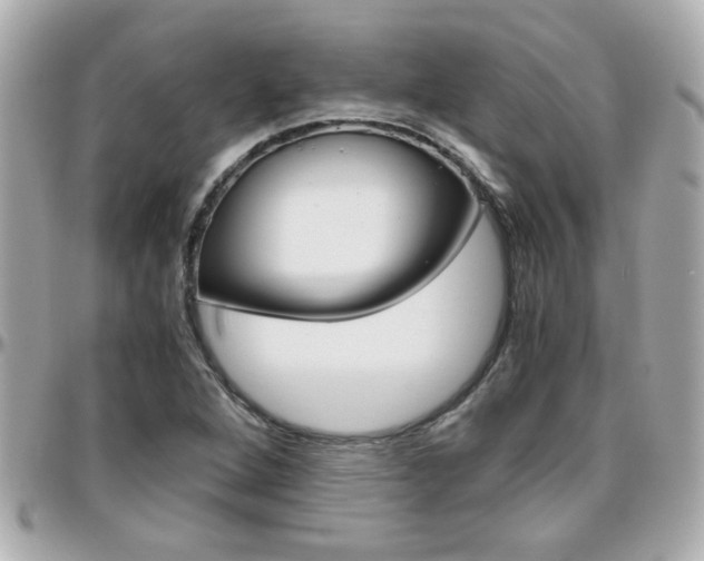 X0000096441264200801241110