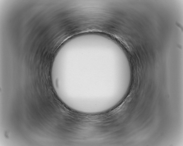 X0000096441265200801241110
