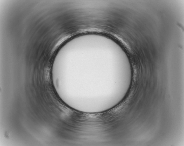 X0000096441266200801241110