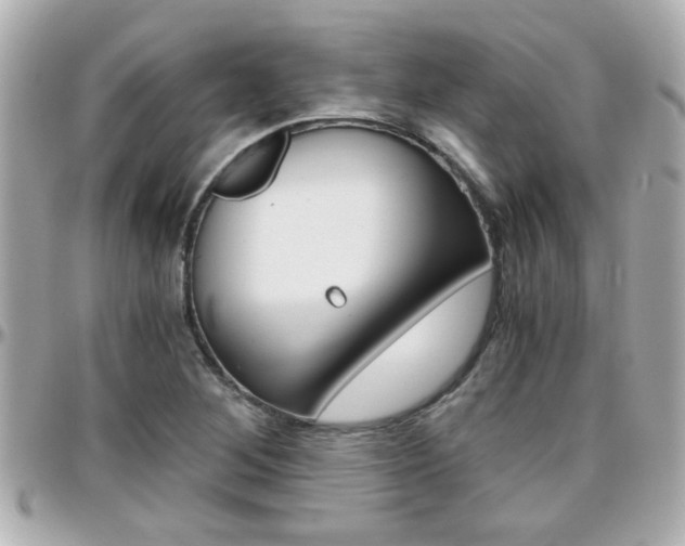 X0000096441268200801241110