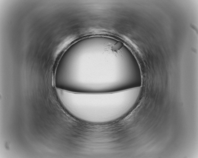X0000096441269200801241110