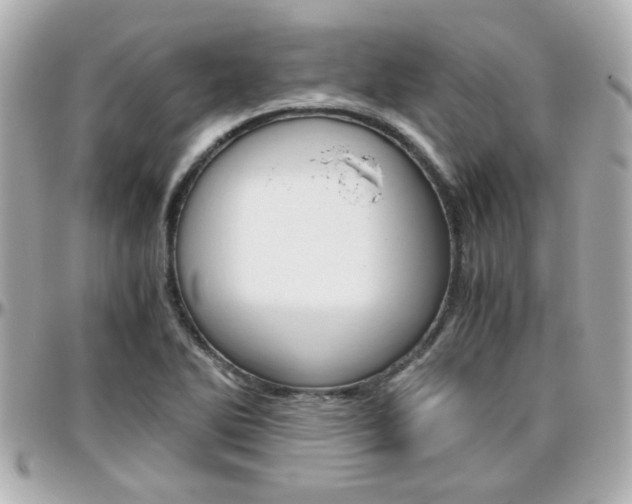 X0000096441270200801241110