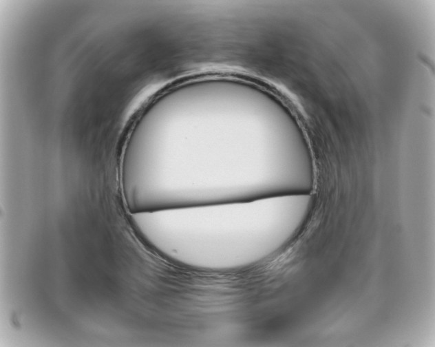 X0000096441271200801241110