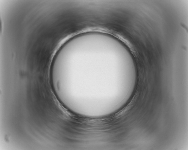 X0000096441272200801241109