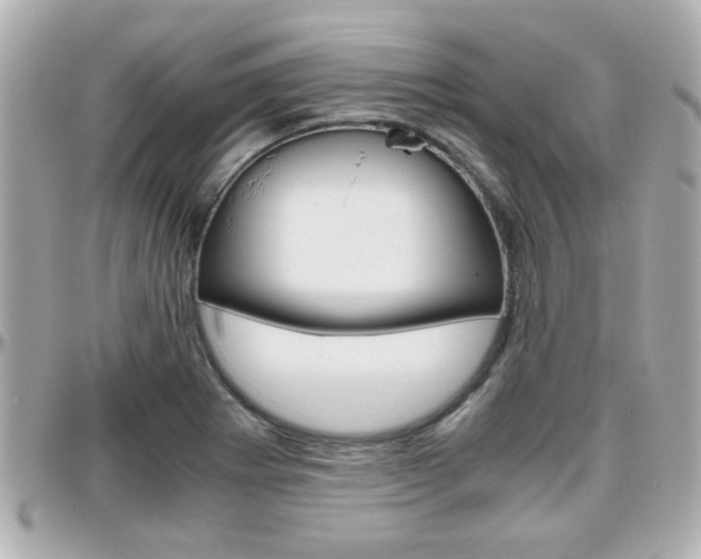 X0000096441273200801241109