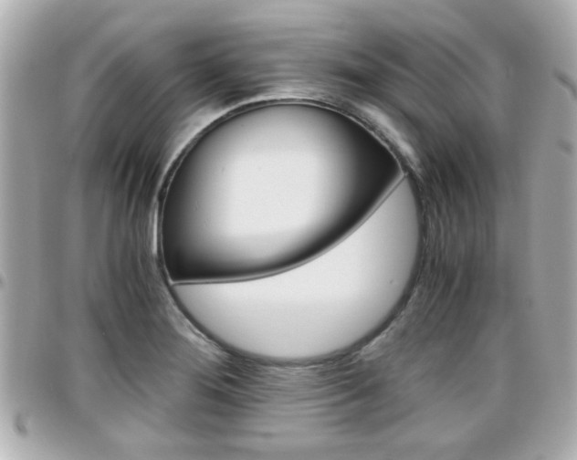 X0000096441276200801241109