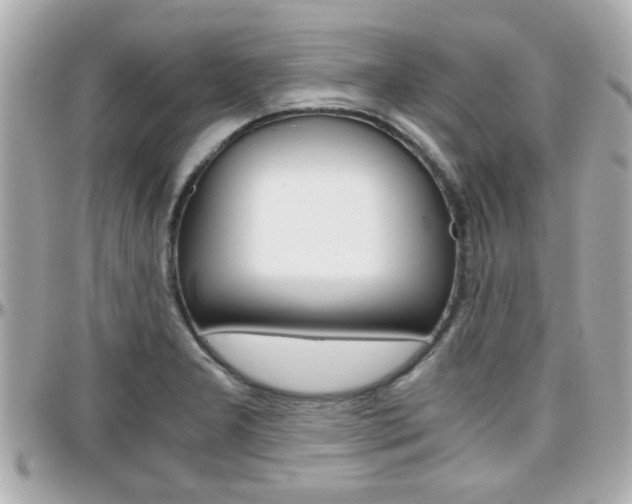 X0000096441277200801241109