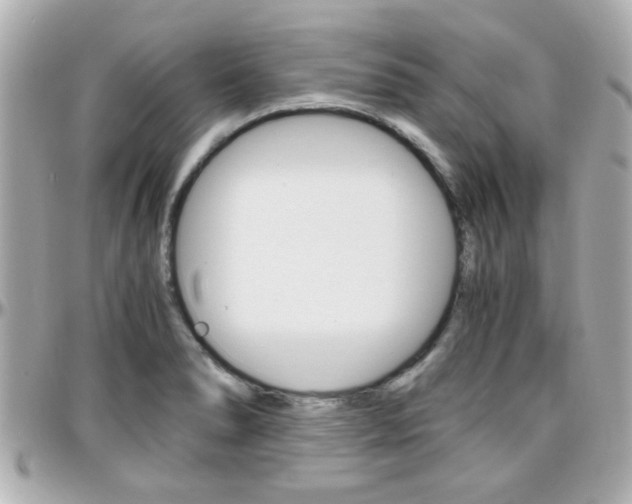 X0000096441278200801241109