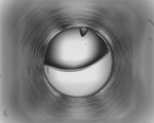 X0000096441281200801241109