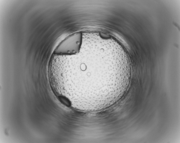 X0000096441283200801241109