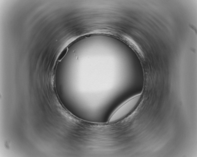 X0000096441284200801241109