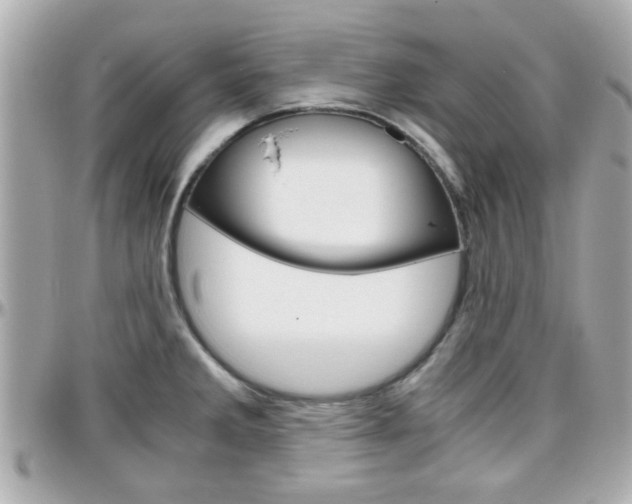 X0000096441285200801241109
