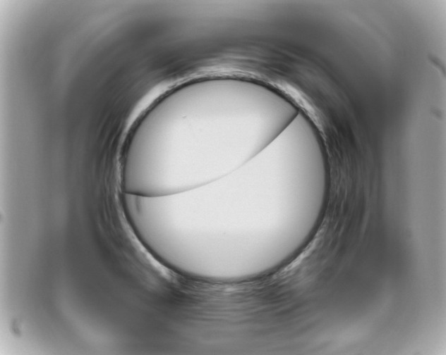 X0000096441286200801241109