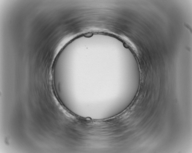 X0000096441287200801241109