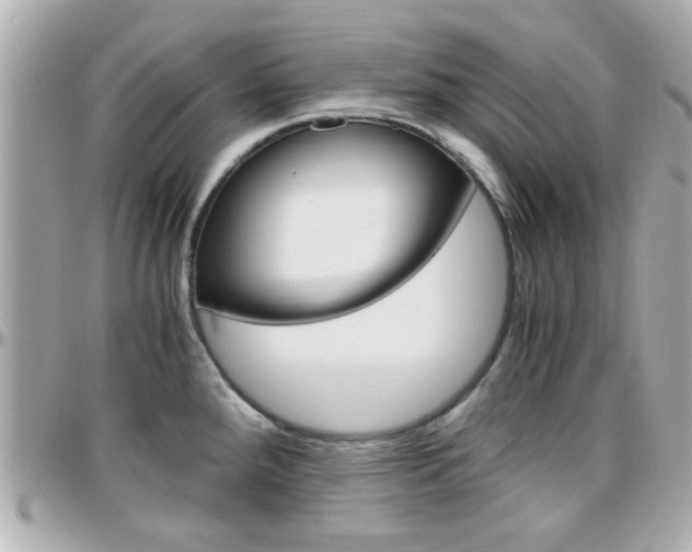 X0000096441288200801241109