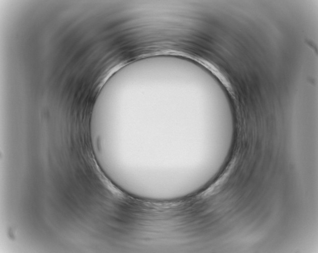 X0000096441289200801241109