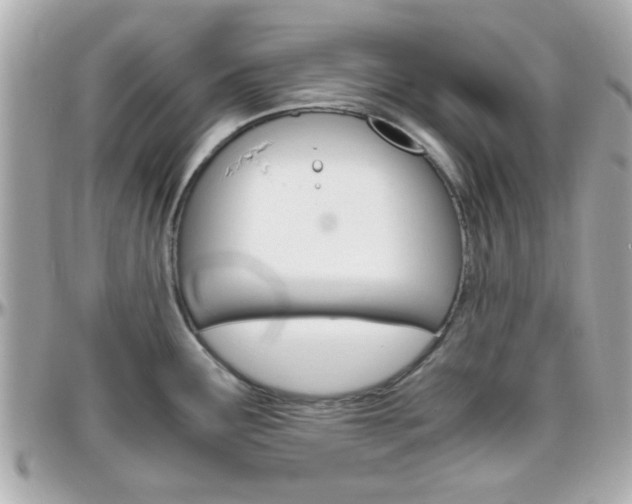 X0000096441291200801241109