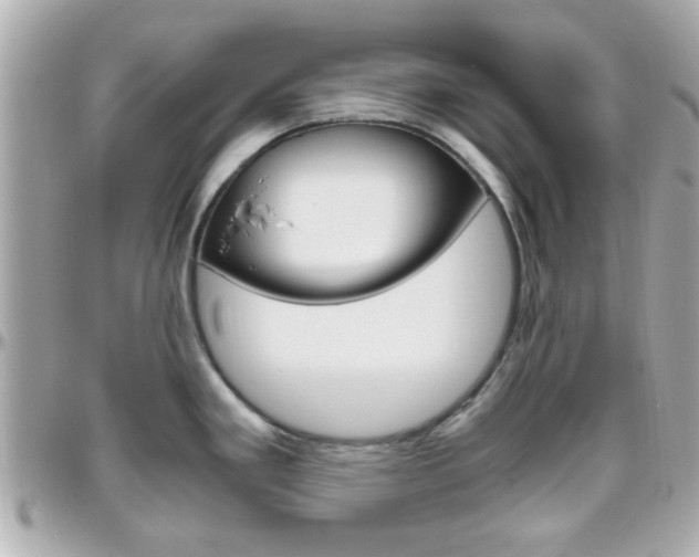 X0000096441293200801241109