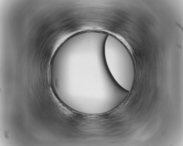 X0000096441295200801241109