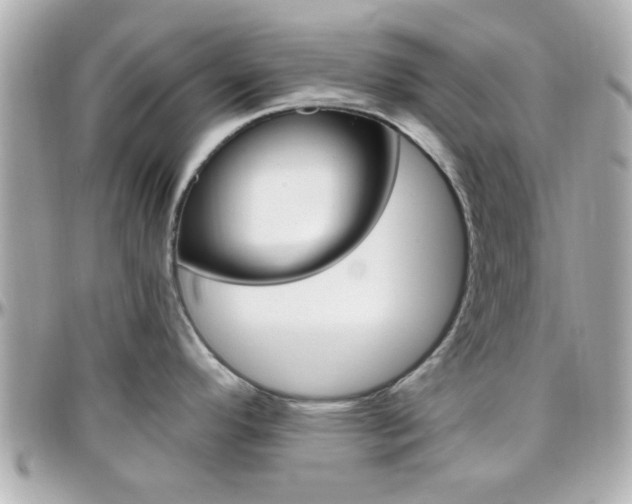 X0000096441296200801241109