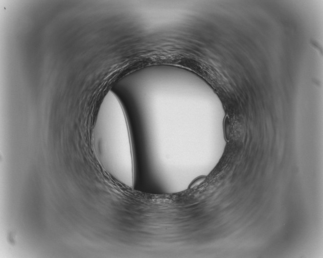 X0000096441297200801241109