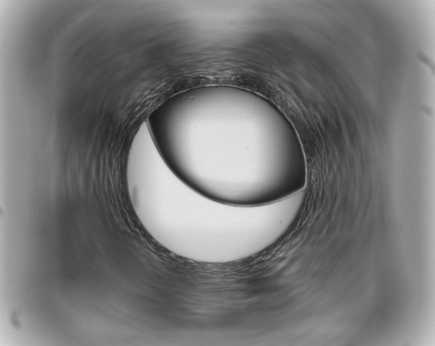 X0000096441298200801241109