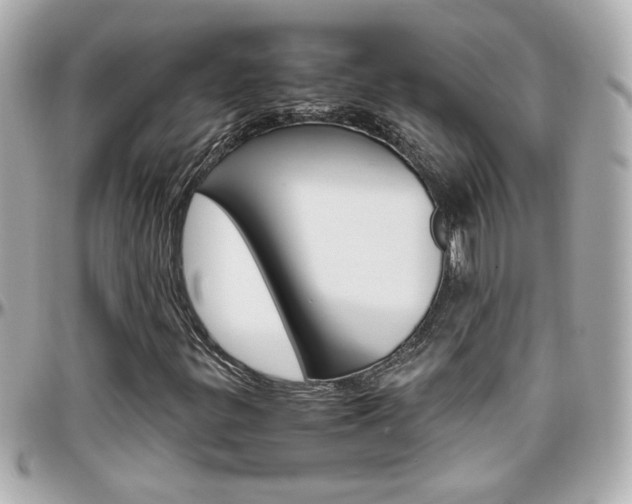X0000096441299200801241109
