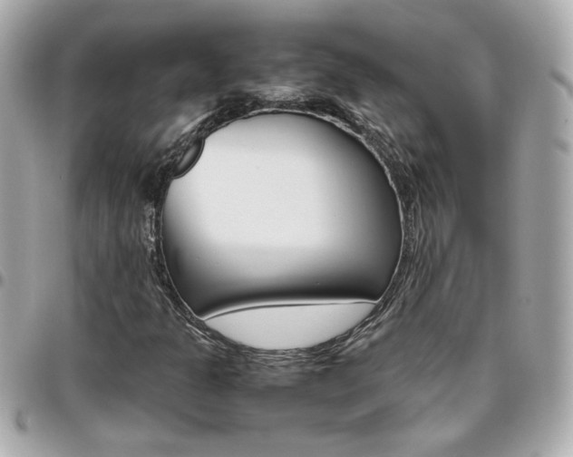 X0000096441301200801241109