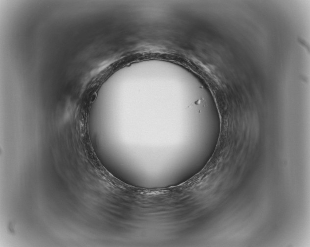 X0000096441303200801241109