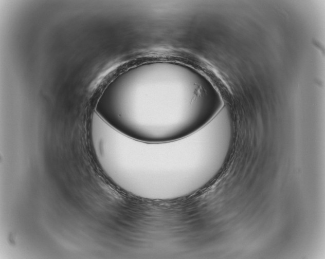 X0000096441304200801241109