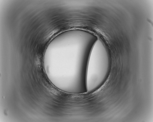 X0000096441305200801241109