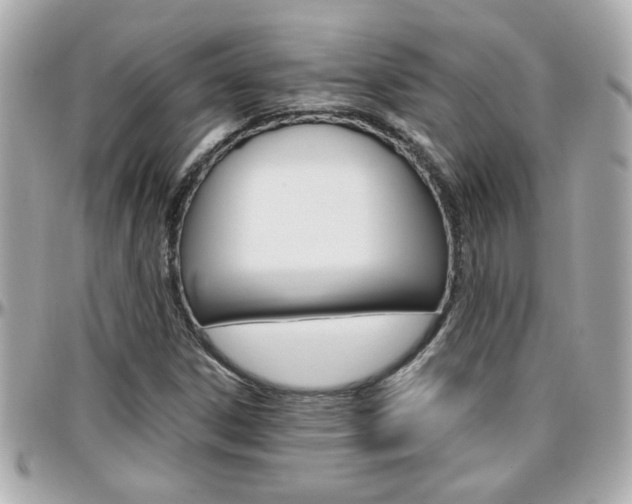 X0000096441306200801241109