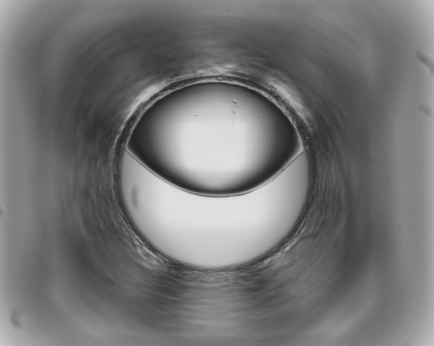 X0000096441308200801241109
