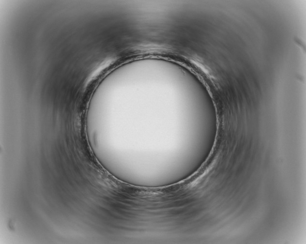 X0000096441309200801241109