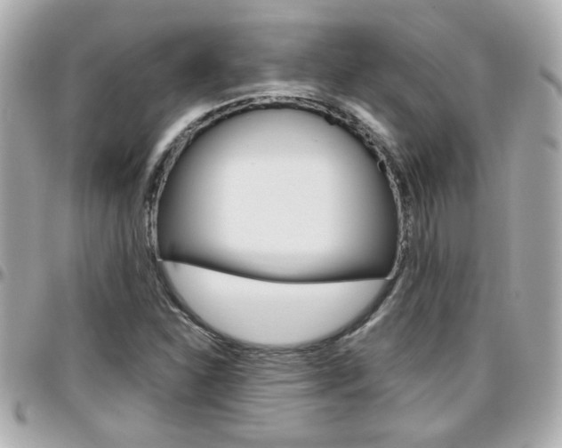 X0000096441310200801241109