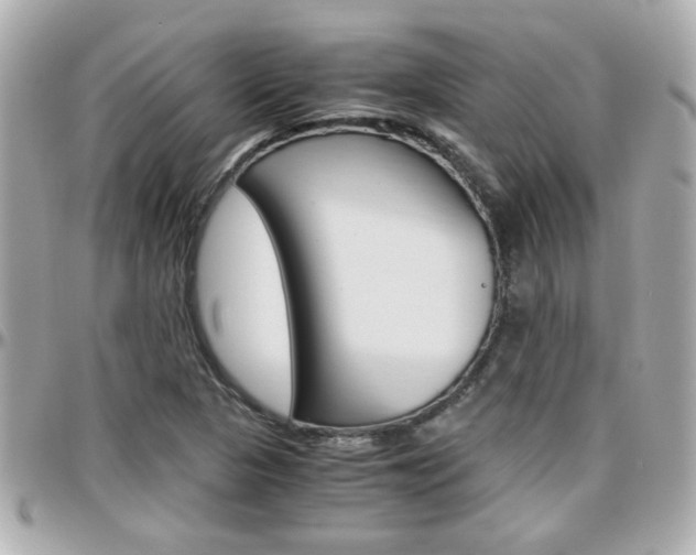 X0000096441313200801241109