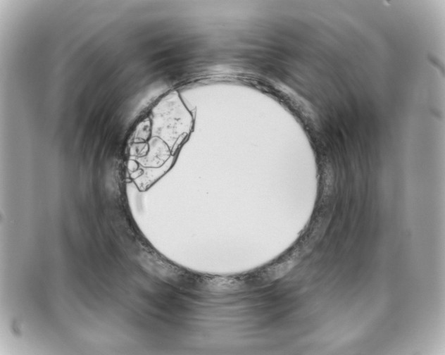X0000096441314200801241109