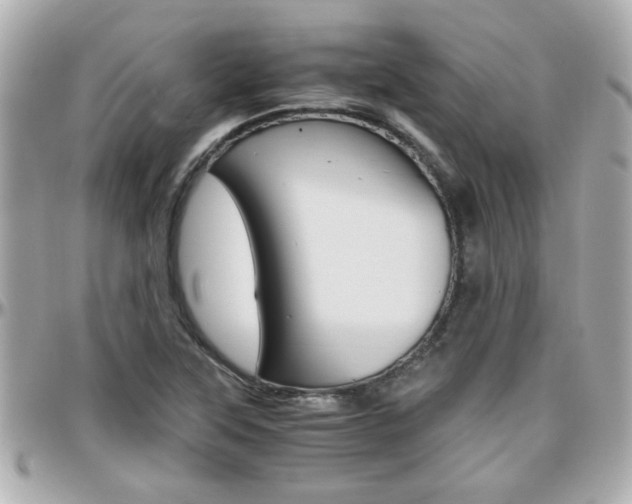 X0000096441315200801241109