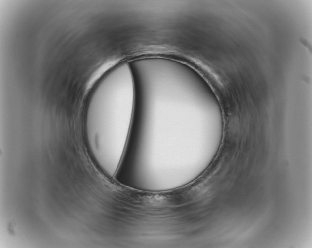 X0000096441317200801241109